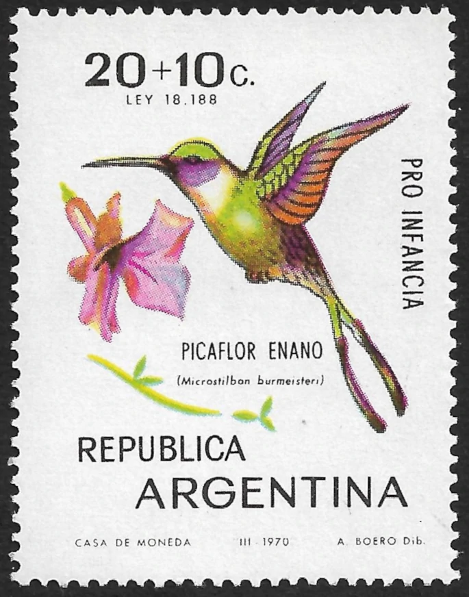 Picaflor Enano