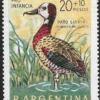 Pato Suirirí - Año 1969 - Aves Argentinas