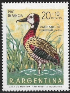 Suirirí Duck - Anno 1969 - Uccelli argentini