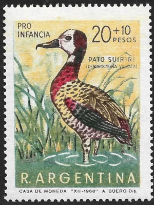 Pato Suirirí - Año 1969 - Aves Argentinas