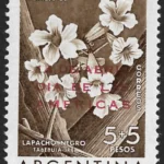Lapacho Negro - Año 1961
