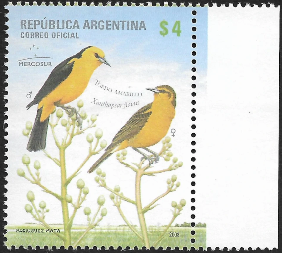 Tordo Amarillo - Aves Autóctonas - Año 2008 - Mercosur
