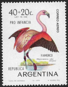 Flamingo - Argentine Birds - Year 1970