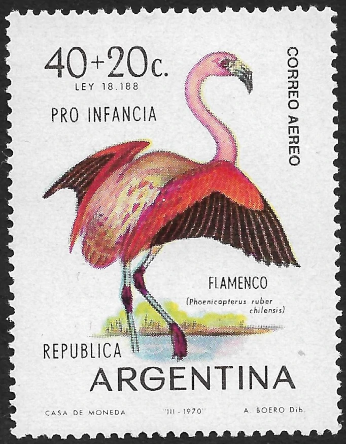 Flamenco - Aves Argentinas - Año 1970