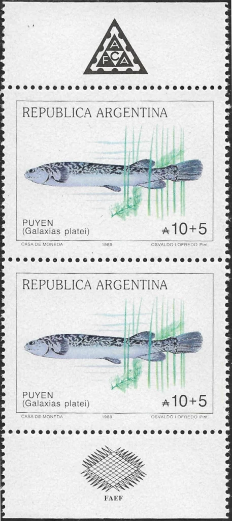 Puyen - Galaxias Platei - Año 1989 - Fish - Pescados del Mar Argentino