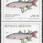 Trucha Marrón - Salmo Fario - Año 1989